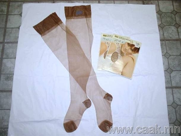 www.caak.mn